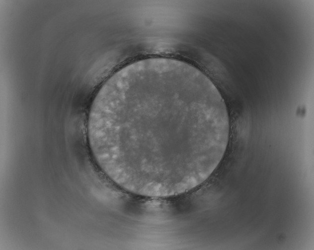 X0000111230415200907231509