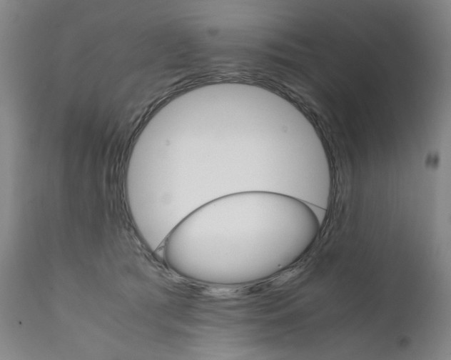 X0000111230417200907231509