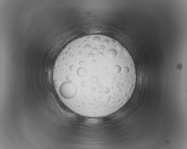 X0000111230418200907231509