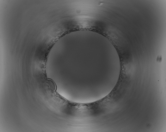 X0000111230419200907231509