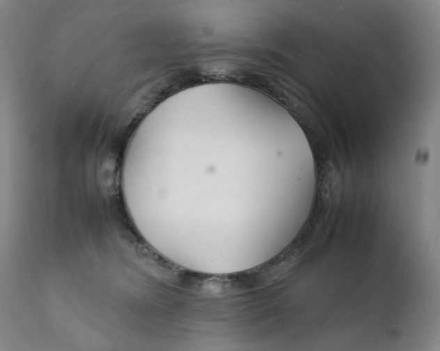 X0000111230420200907231509