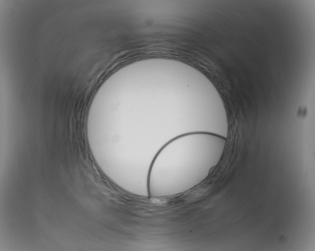 X0000111230421200907231509