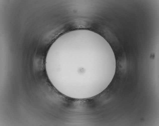 X0000111230422200907231509