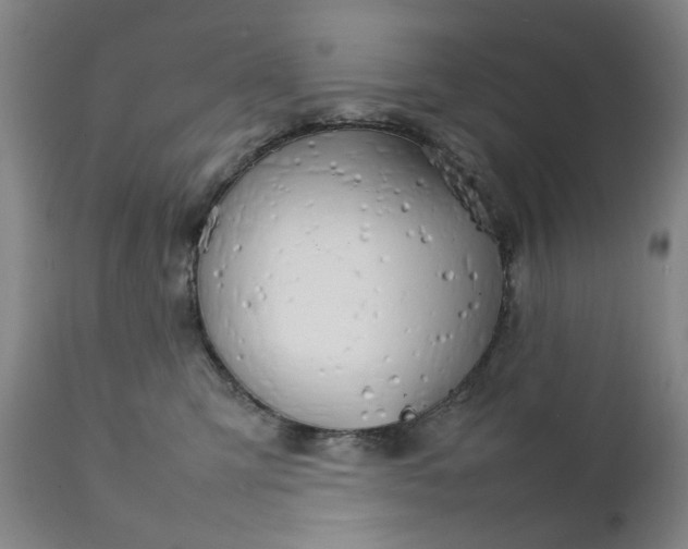 X0000111230423200907231509