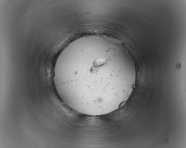 X0000111230424200907231509