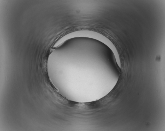 X0000111230425200907231509