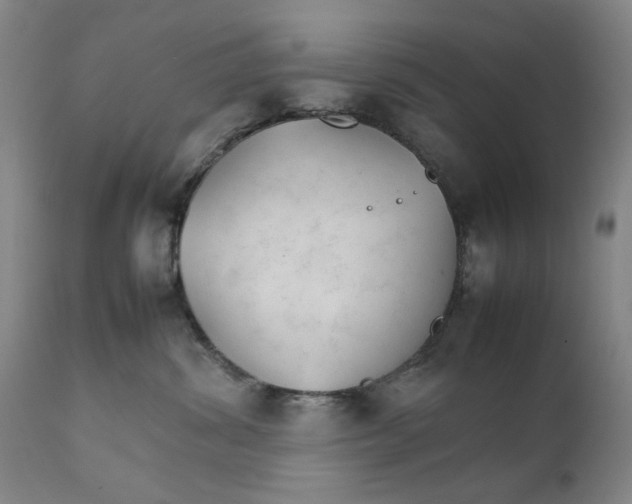 X0000111230428200907231509