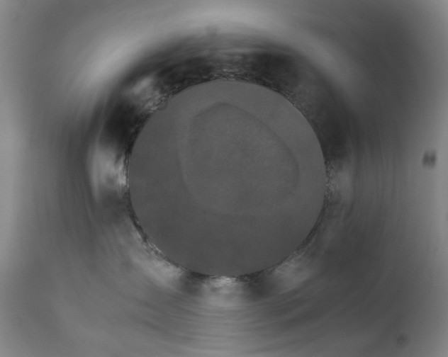 X0000111230431200907231509