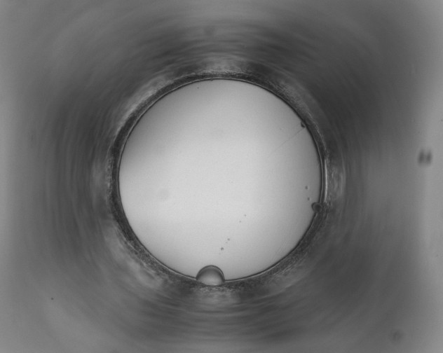 X0000111230435200907231508