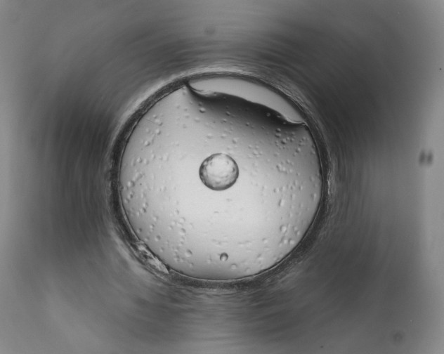 X0000111230436200907231508