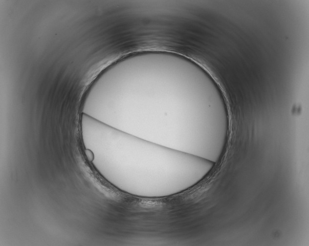 X0000111230437200907231508