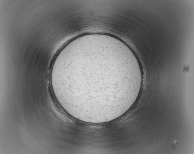 X0000111230438200907231508