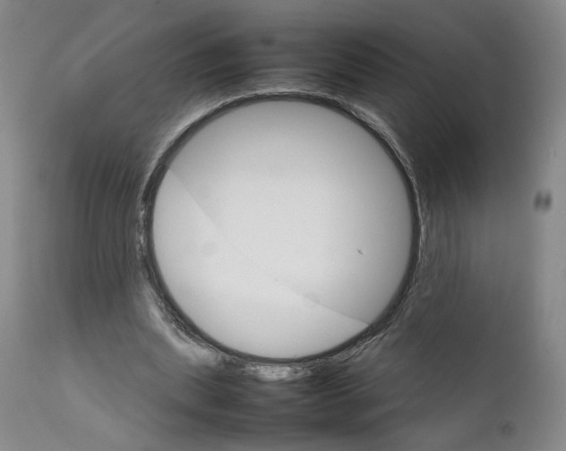 X0000111230439200907231508