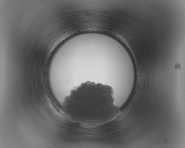 X0000111230443200907231508