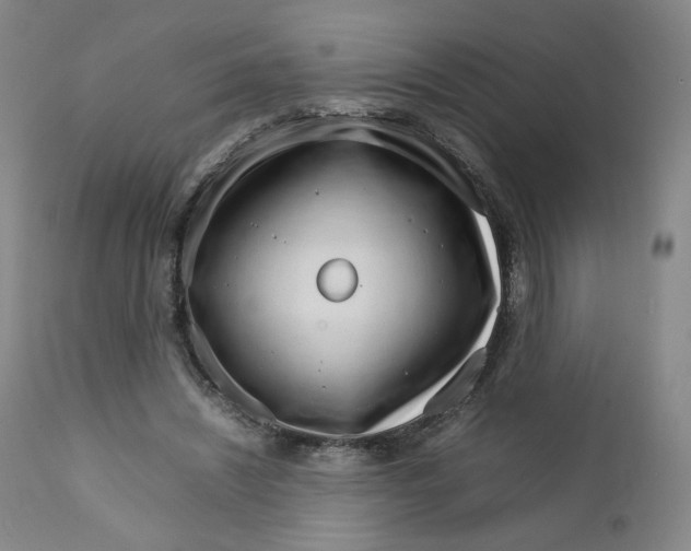 X0000111230444200907231508