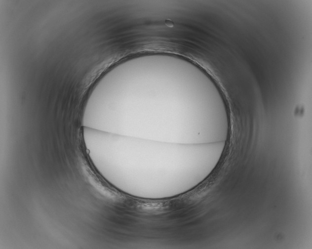 X0000111230445200907231508