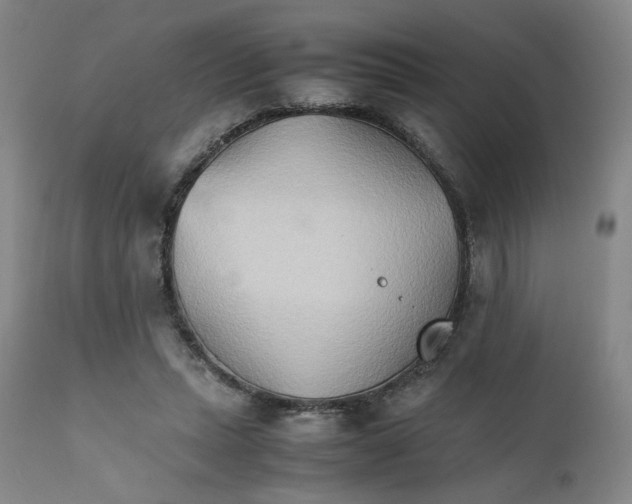 X0000111230447200907231508