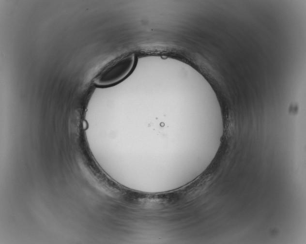 X0000111230448200907231508