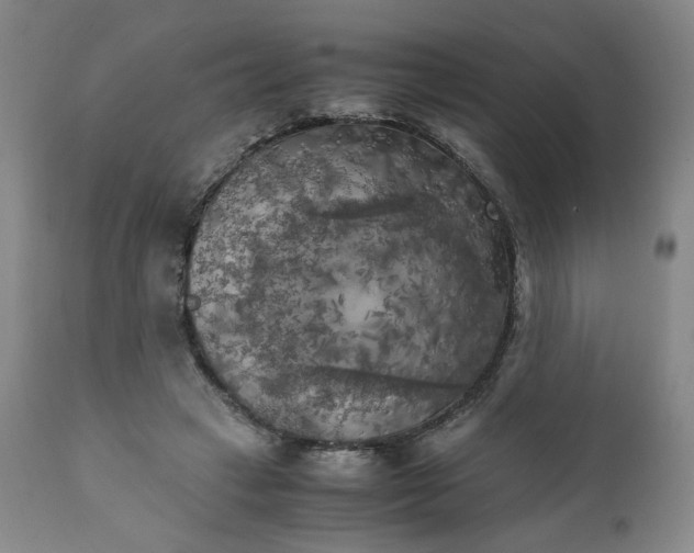 X0000111230449200907231508