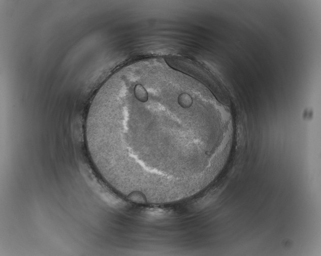 X0000111230453200907231508