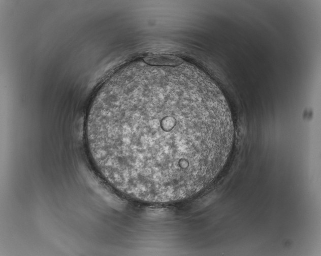 X0000111230454200907231508