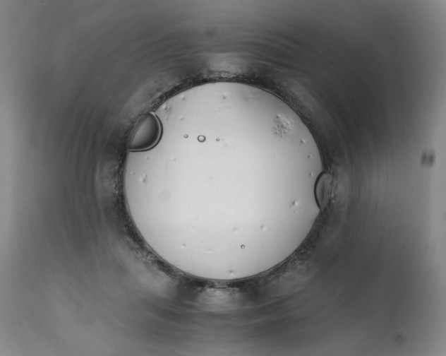 X0000111230455200907231508