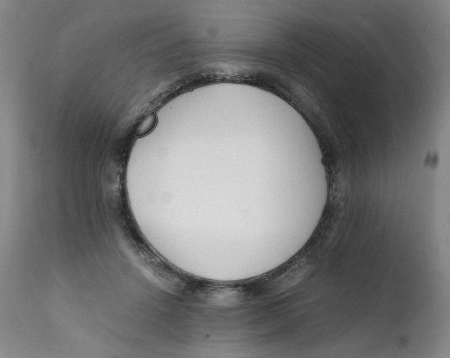 X0000111230456200907231508