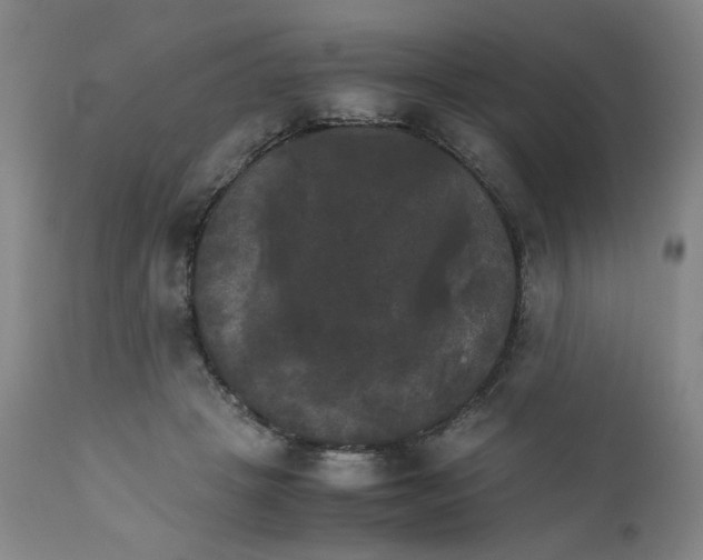 X0000111230457200907231508