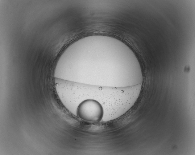 X0000111230458200907231508