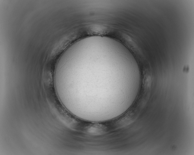 X0000111230459200907231508