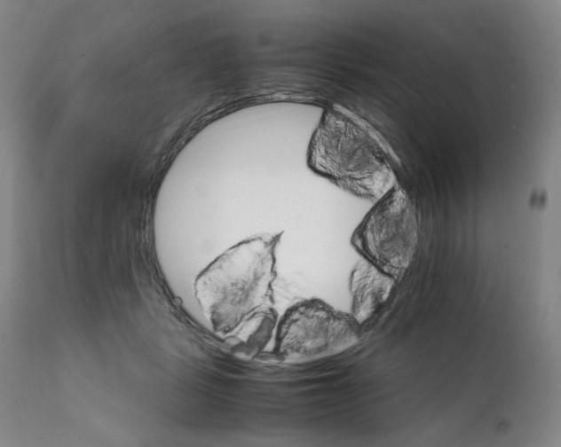 X0000111230461200907231508