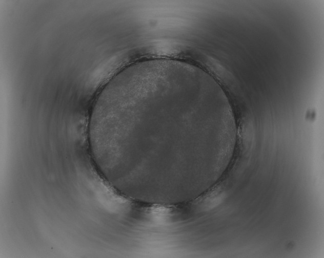 X0000111230462200907231508