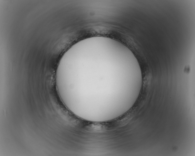 X0000111230464200907231509