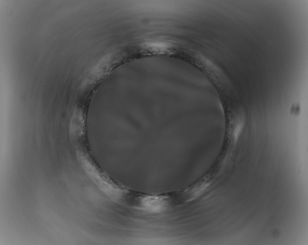 X0000111230465200907231509