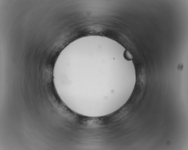 X0000111230468200907231509