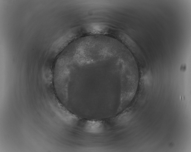 X0000111230469200907231509