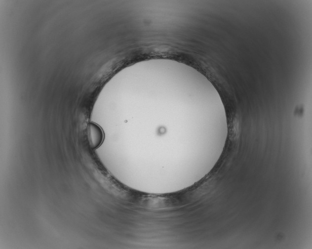 X0000111230472200907231509