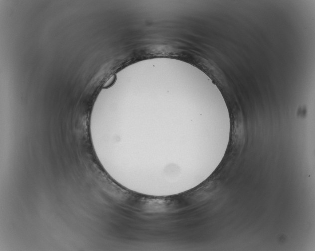 X0000111230473200907231509