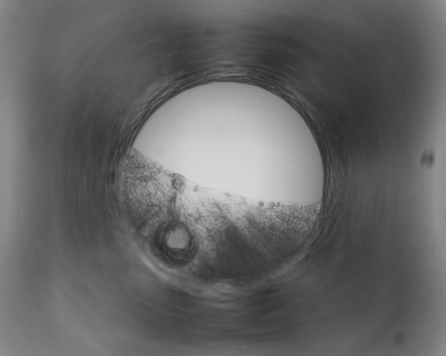 X0000111230475200907231509