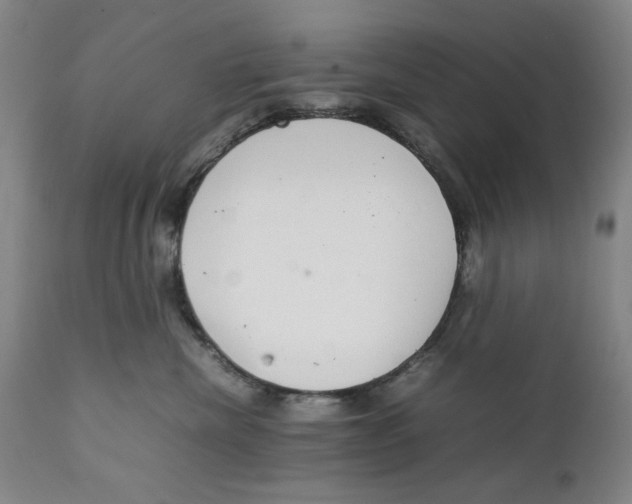 X0000111230476200907231509