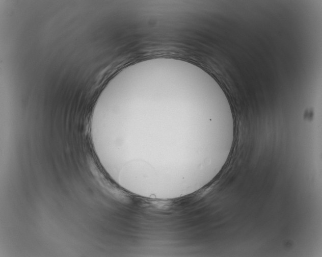 X0000111230478200907231509