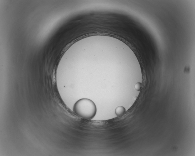 X0000111230479200907231509