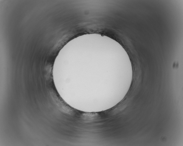 X0000111230480200907231509