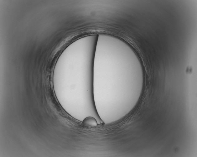 X0000111230483200907231508