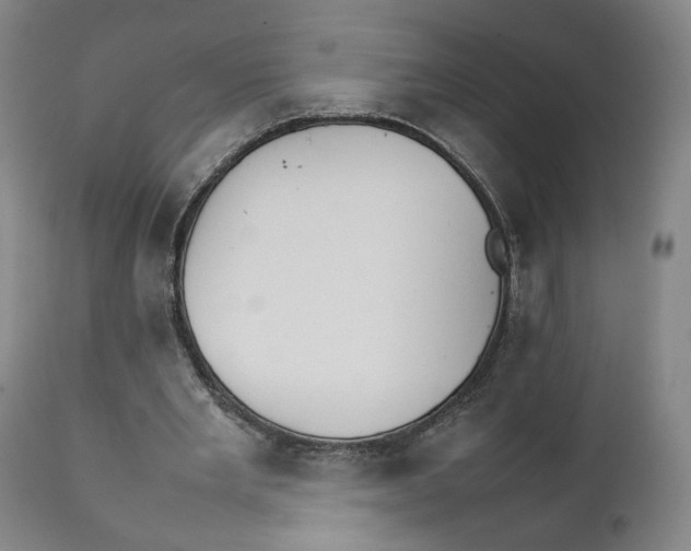 X0000111230485200907231508