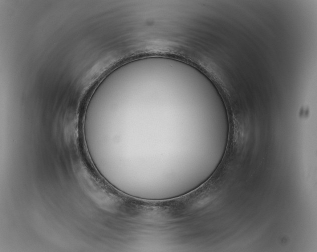 X0000111230486200907231508