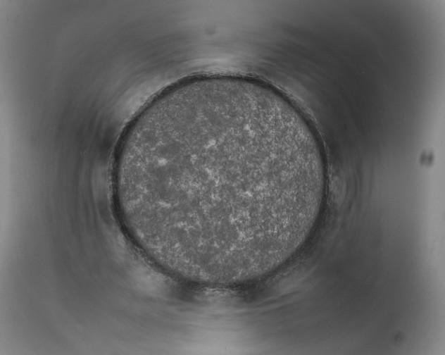 X0000111230487200907231508