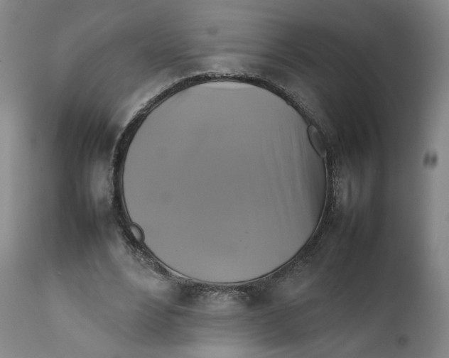 X0000111230488200907231508