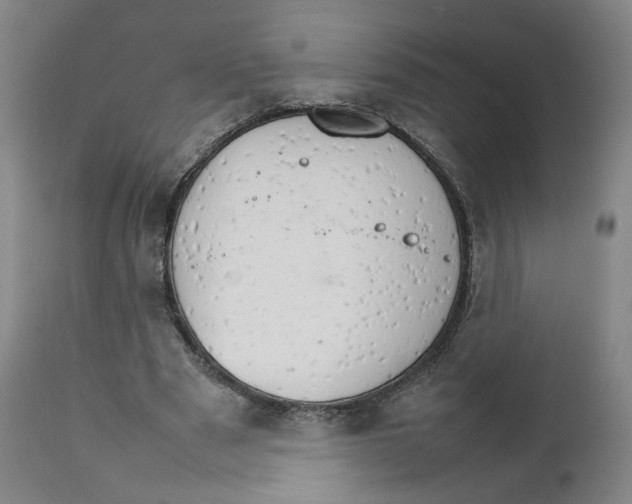 X0000111230489200907231508