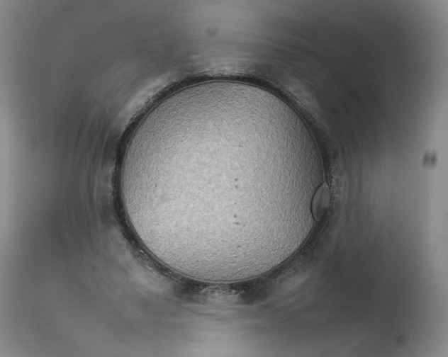 X0000111230491200907231508